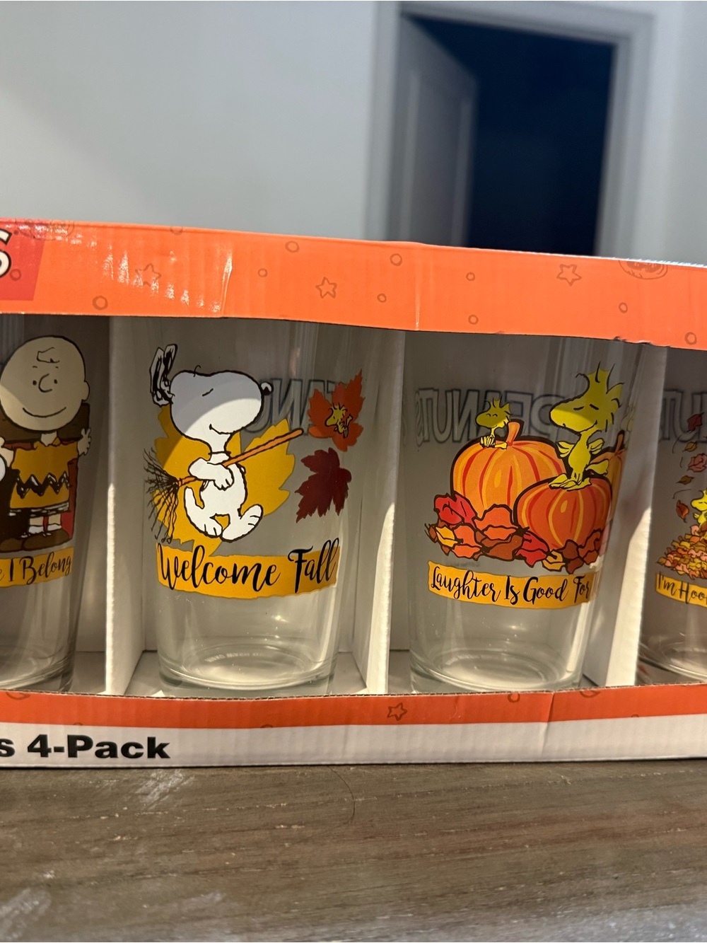 Peanuts Fall Glass Tumbler Set - Welcome Fall Illustration